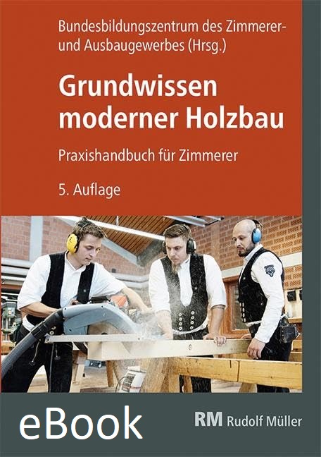 Grundwissen moderner Holzbau - eBook