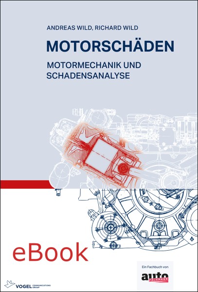 Motorschäden - eBook (PDF)